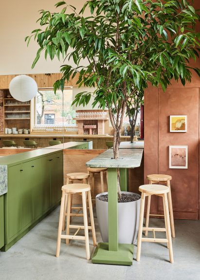 Bar counter with ficus tree growing through