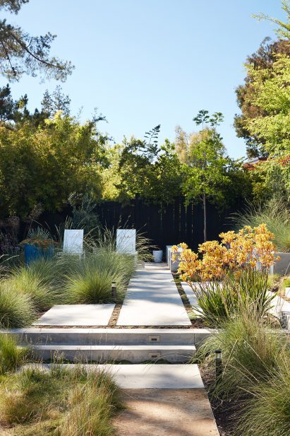 Plans and stones in the garden