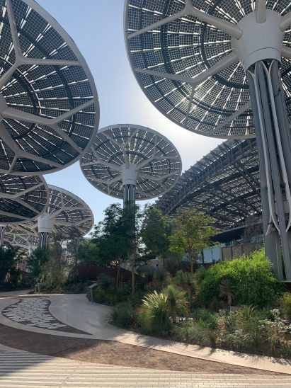 Energy Trees