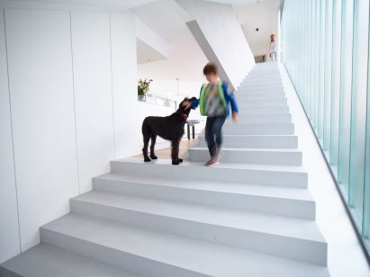 Staircase with slide