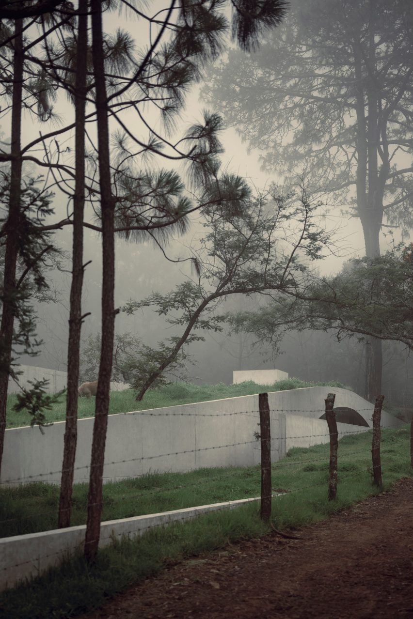 The Hill in Front of the Glen by HW Studio