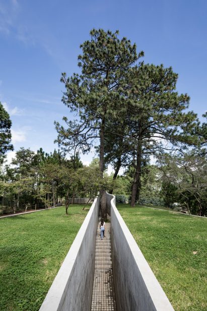 Concrete passageway to the house