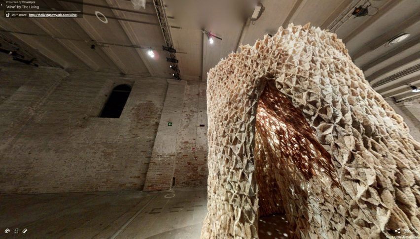 alive pavilion by the living