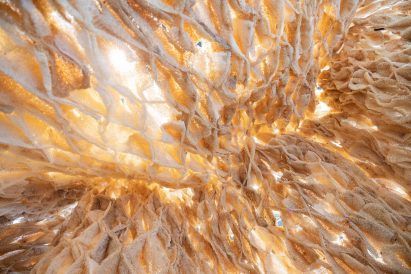 Light filters through the skin of the pavilion