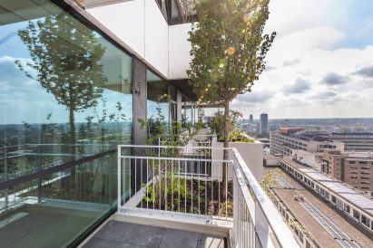 A tree and shrubbery fill a planter at Trudo Vertical Forest