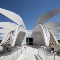 Dubai Expo pavilions