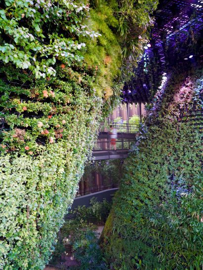 Plant-filled pavilion at Dubai Expo