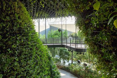 Plant-filled pavilion