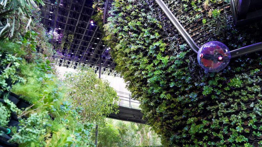 Singapore Pavilion at Dubai Expo