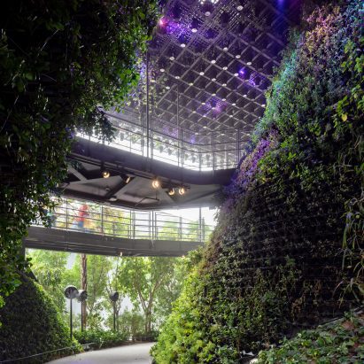 Singapore Pavilion at Dubai Expo