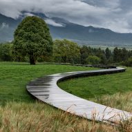 Winding paths lead around the garden