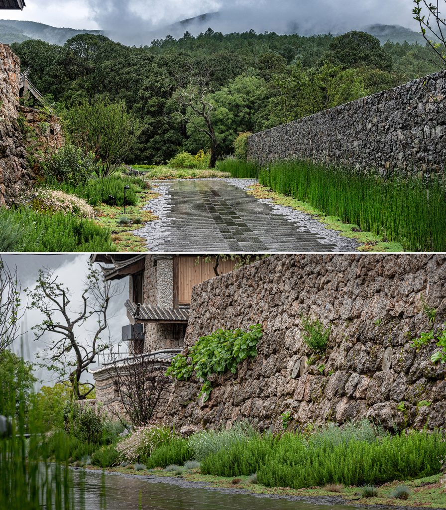 alpine garden by z'scape