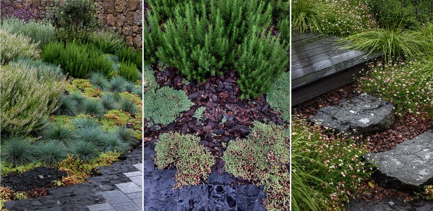 alpine garden by z'scape
