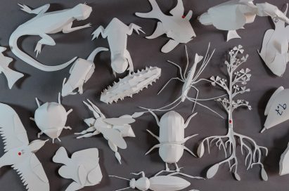 A photograph of the paper species including insects, frogs and birds