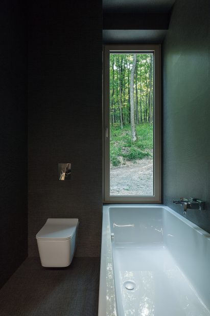 Dark bathroom interiors