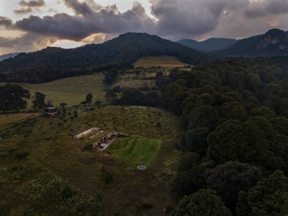 Avocado field site