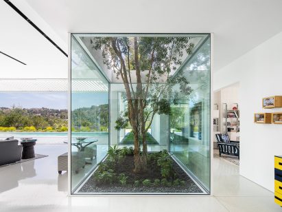 Glazed walls around tree