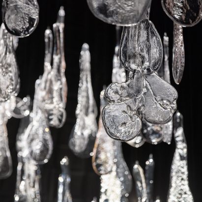 A close-up photograph of the Herbarium lighting installation showing the flower imprint on the glass