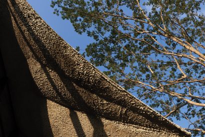 A close up view of a cement-coated canopy