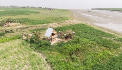 Bamboo house on stilts in the middle of a green field in a river delta