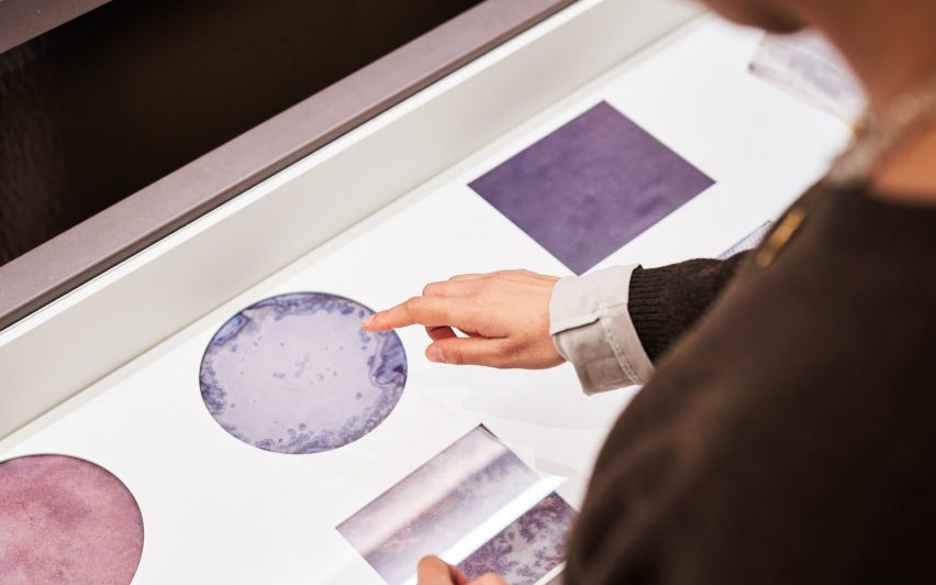 Bacteria textiles dyed purple