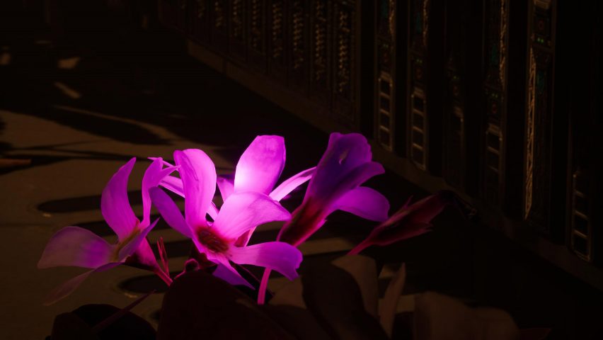 Data Flowers project