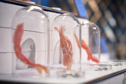 Tiger Penis Project at Supermarket of the Future exhibition at Dutch Design Week