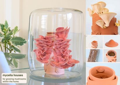A photographer of Mycelia Houses: Mushrooms Within the Home by Caitlin Duffus