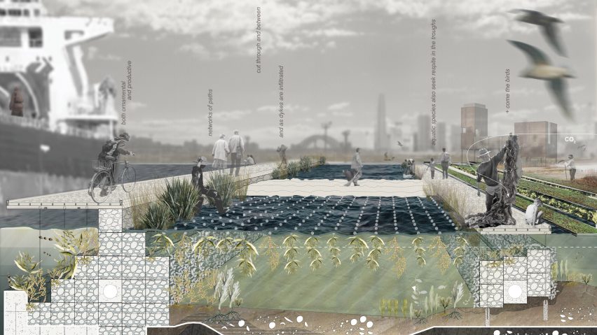 University of New South Wales spotlights 10 landscape architecture and design projects