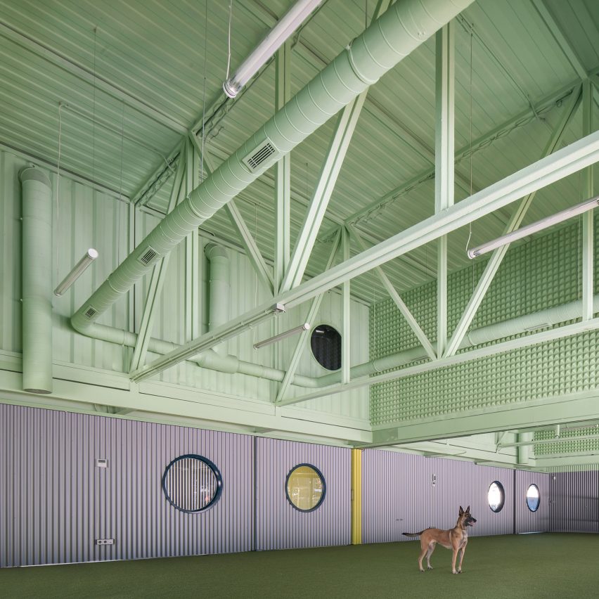 Educan school for dogs, humans and other species