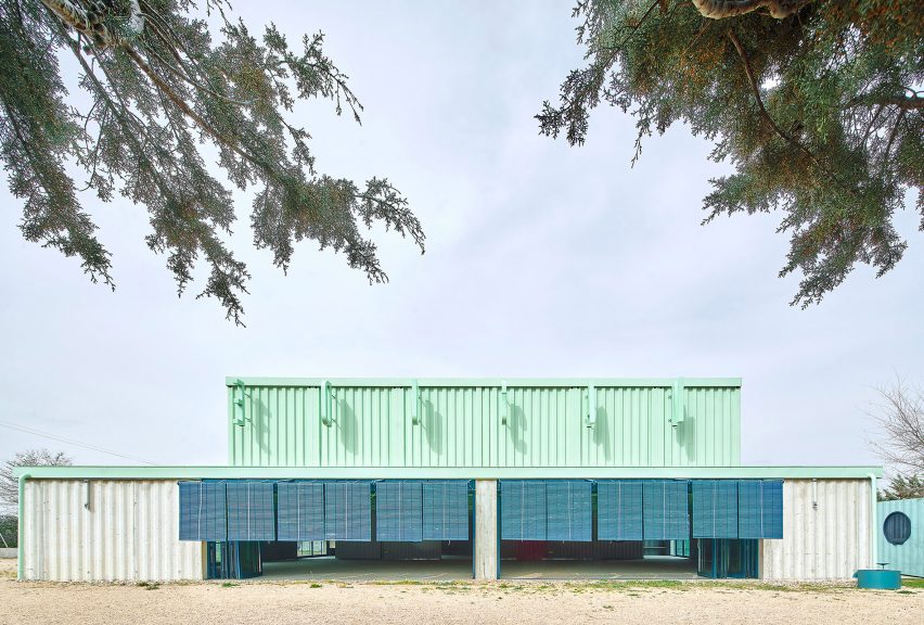 Educan school for dogs, humans and other species