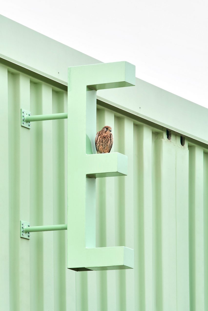 Signage perches at Educan school for dogs, humans and other species