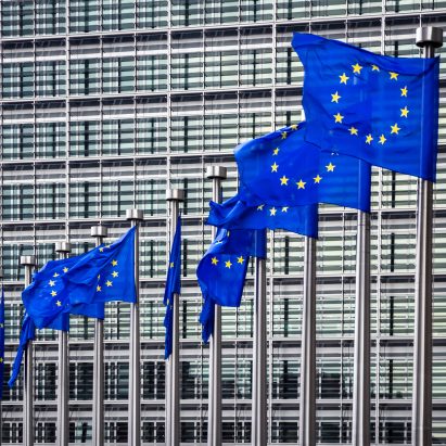 EU flags