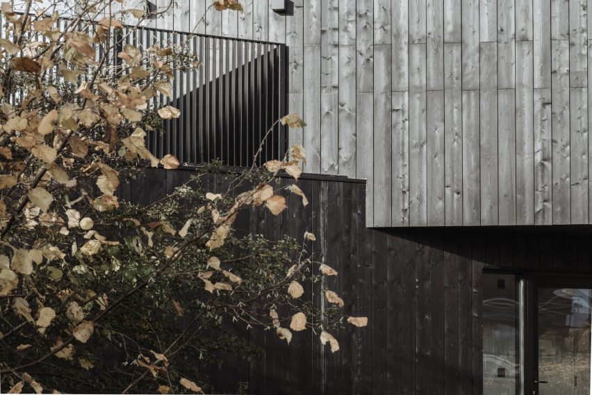 Falcon House by Koto