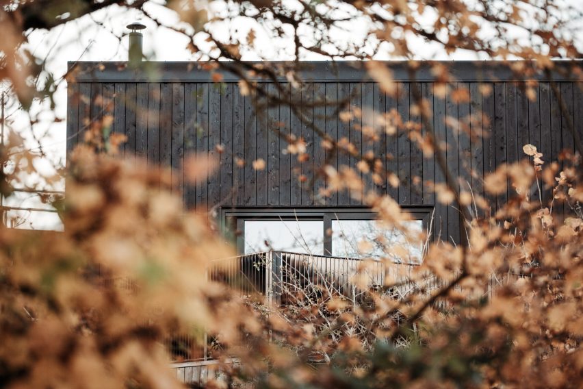 Falcon House by Koto