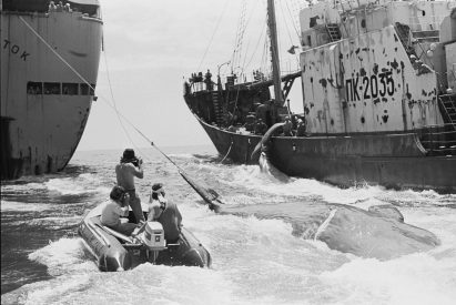 Image of Greenpeace on a small boat