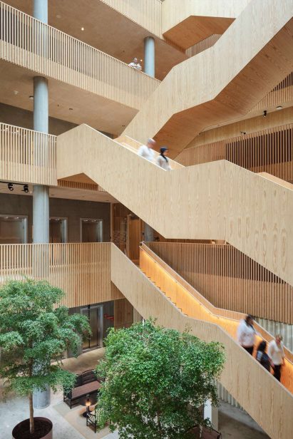 Wooden office atrium