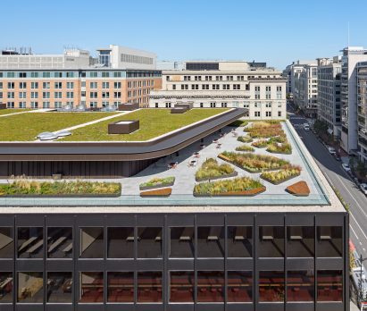 Rooftop garden