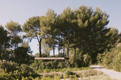 Cabin nestled into French forest clearing