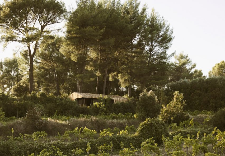 Exterior of Pine Nut Cabane in France