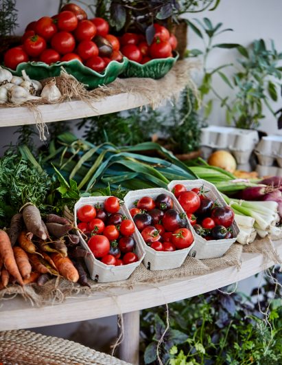 Fresh farm produce including carrots and tomatoes