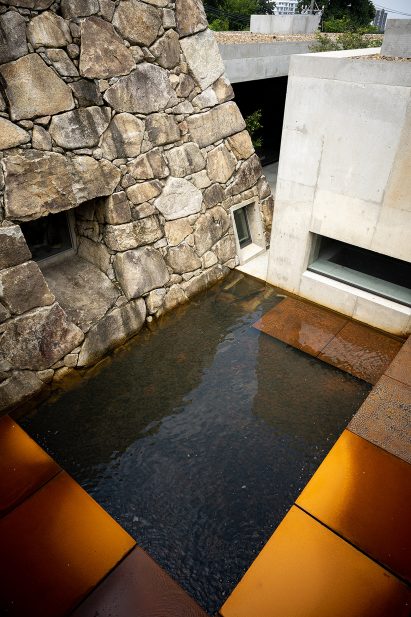 Japanese water garden