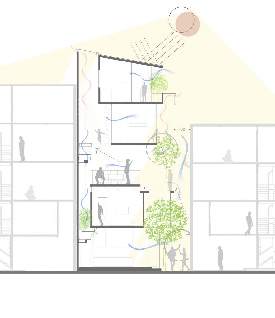 Section, TH House by ODDO Architects
