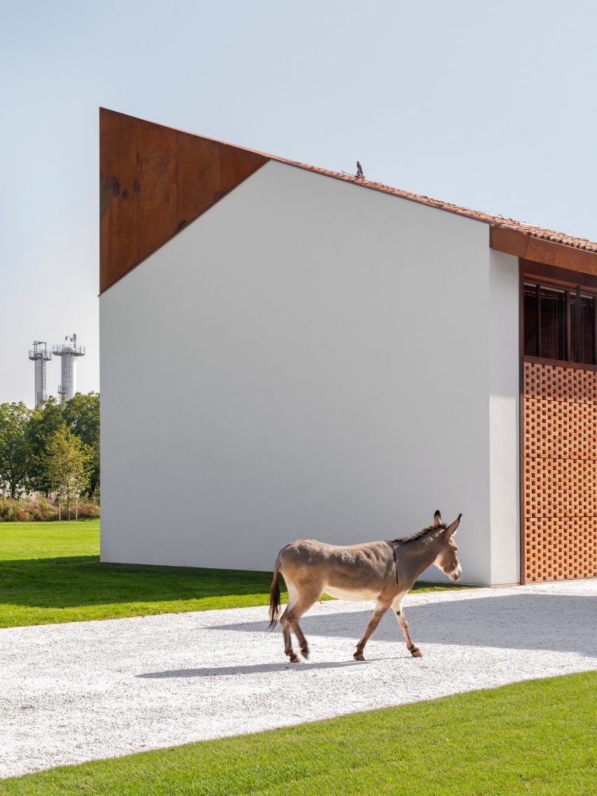 Donkey outside Italian farmhouse
