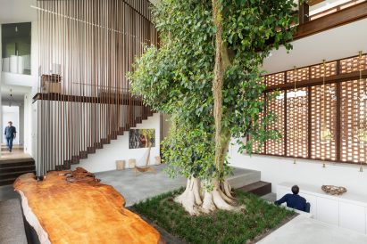 The tree inside The Greenery by CRA