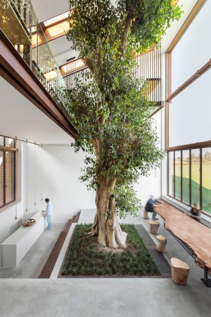 The Greenery, Parma