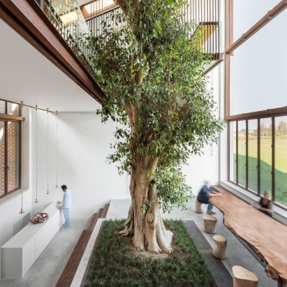 Tree inside The Greenery by Italo Rota