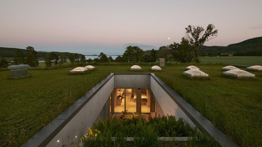 Green roof of Villa Aa