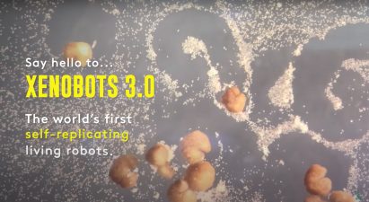 Graphic showing C-shaped xenobots reads "Say hello to xenobots 3.0 – the world's first self-replicating living robots"
