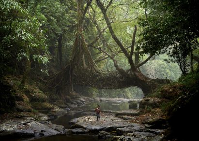 A photograph of a boy walking through a woodland as part of Julia Watson's research into indigenous architectural technologies